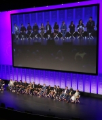 Filename=020.jpg
Filesize=468KiB
Dimensions=3000x2000
Date added=Mar 26, 2019 020.jpg