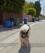 Filename=cbgtsl_s01e07_0314.jpg
Filesize=188KiB
Dimensions=1280x720
Date added=Jun 10, 2017 cbgtsl_s01e07_0314.jpg