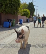 Filename=cbgtsl_s01e07_0315.jpg
Filesize=189KiB
Dimensions=1280x720
Date added=Jun 10, 2017 cbgtsl_s01e07_0315.jpg