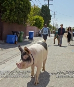 Filename=cbgtsl_s01e07_0316.jpg
Filesize=195KiB
Dimensions=1280x720
Date added=Jun 10, 2017 cbgtsl_s01e07_0316.jpg