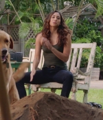 H509x01_0004.jpg